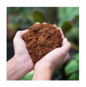 Turba de Coco Comprimida Cruda, Fibra de Coco, Ladrillos de Coco - Product Image 4