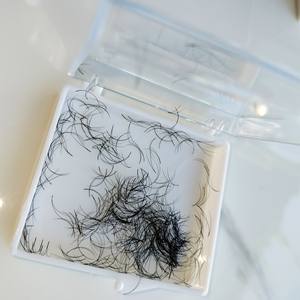 Nuevas extensiones de pestañas postizas prefabricadas de fibra PBT coreana caliente Vietnam hizo 1000 caja 2D suelta 6D belleza fácil 0,03mm-0,20mm 15mm - Product Image 6