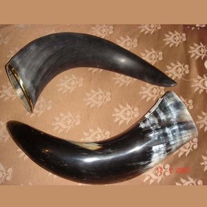 Viking Drinking Horns With Horn Stand Made of Buffalo Horns Manufacturer and Exporter From India Modern Design - Product Image 6