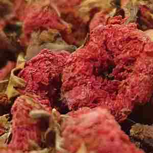 2026 Natural Pomegranate Dry <b>Flowers</b> Reasonable Price Dry <b>Flowers</b> High Quality 100% Mature Wholesale Storage Type Cool Place - Product Image 1