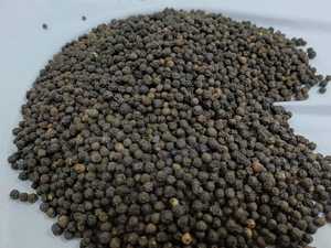 Exportación a granel de alta calidad de tipo de procesamiento crudo de pimienta molida entera y seca-para jaulas de animales - Product Image 2