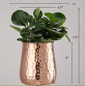 แจกันดอกไม้โลหะเคลือบทองแดง,กระถางดอกไม้สำหรับตกแต่งบ้านอย่างสมบูรณ์แบบมาตรฐานสำหรับการตกแต่งบ้าน - Product Image 3