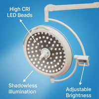 Lampe chirurgicale LED dentaire 160000 Lux, plafonnier sans ombre, 3000-6700K, dimmable, 80 puces pour clinique dentaire