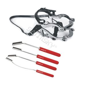 Ensemble d'ascenseurs interchangeables orthopédiques dentaires équins 8 pièces Concave droit incurvé en acier inoxydable court long vétérinaire - Product Image 4