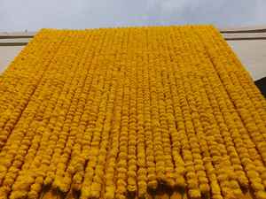 Guirlande de fleurs de souci indienne décorative artificielle Deewali pour décoration de fête de mariage de Noël - Product Image 3