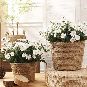 Mayorista de artesanías Macetas de árboles Maceta de algas marinas tejida a mano con bolsa de PP Cesta de flores interior Proveedor de jardinería FBA Amazon - Product Image 2