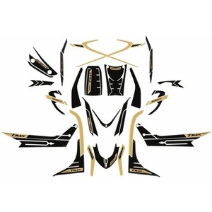 Kit Adesivi in Resina 3D Effetto Carbonio-Oro per Yamaha Tmax 560 2020-2021, Compatibili con YAMAHA Tmax 560 2020-2021 - Product Image 1