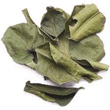 Hojas de Limón Kaffir Secas al por Mayor de Vietnam - Product Image 4