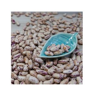 Haricots mouchetés légers en gros - Product Image 5