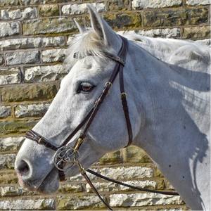 Brida de Roma con riendas negras o Habana, brida levantada Cavesson Flash Noseband Premium Genuina de cuero de la mejor calidad - Product Image 1