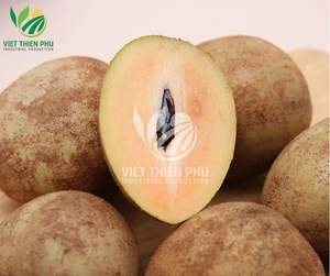 Viet Thien Phu Iqf Frozen sapodilla/Top Grade ผลไม้มาตรฐานจากเวียดนาม - Product Image 5