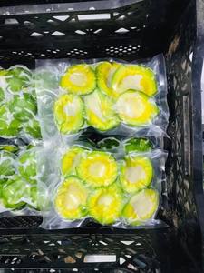 Fournisseur d'avocat congelé du Vietnam offrant la meilleure offre de purée d'avocat congelée en vrac, en tranches et options IQF pour les acheteurs mondiaux - Product Image 4