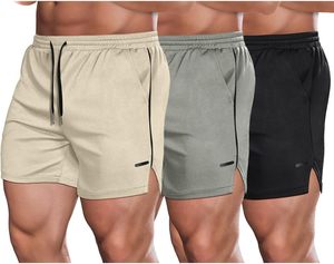 Nouveau été hommes maille Gym musculation décontracté Shorts amples Joggers extérieur Fitness Shorts de plage hommes Shorts de sport - Product Image 4