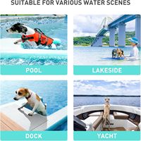 Plateforme de ponton gonflable en PVC pour animaux de compagnie, bateau flottant, chaises de ponton, capacité 100-500 kg, pour loisirs aquatiques, 5-10 personnes