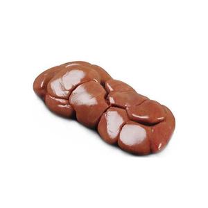 Exportateurs de rognons de bœuf congelés de qualité vers la Chine - Product Image 5