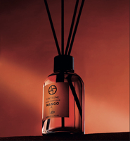 Mangue 100 ml Reed Diffuseur Bâton de bambou Parfum d'intérieur Nouveau Parfum Parfum Fibre Bâton Verre Reed Diffuseur de marque privée