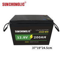 Convertisseur solaire hybride Sunchonglic 12V 2400W pour la maison, batterie LiFePo4, panneaux solaires monocristallins MPPT, modèle 2.2KW