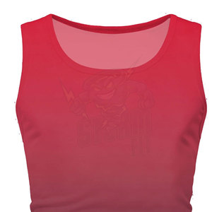 Chemises musclées sans manches à coupe ample pour hommes Débardeurs légers à évacuation de l'humidité pour l'entraînement en salle de sport Vêtements de jogging rouges - Product Image 6