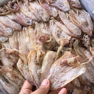 Top 2025 calmars crus de qualité supérieure non salés, naturellement séchés à l'air au Vietnam à un prix compétitif! - Product Image 1