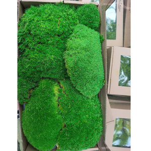 <span class=keywords><strong>Bolas</strong></span> de musgo artificiales para decoración, <span class=keywords><strong>bolas</strong></span> de musgo secas para interiores - Product Image 4