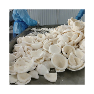 Comida de coco congelada naturalmente dulce de Vietnam lista para la exportación al por mayor en grandes cantidades - Product Image 5