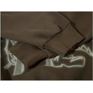 Sudadera con capucha de poliéster y algodón fino para primavera y otoño, sudadera básica de nuevo estilo con logotipo personalizado, sudaderas con capucha de serigrafía - Product Image 6