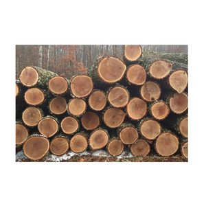 High Quality Oak Timber <b>Logs</b> Round White Oak Red Oak Hardwood for Flooring and Cabinet Production - Product Image 5