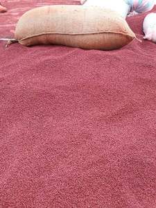 Graines d'annatto du Vietnam de qualité supérieure, colorant alimentaire naturel, épice, approvisionnement pour l'exportation - Product Image 5