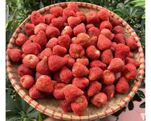 สตรอเบอร์รี่อบแห้งจำนวนมากในเวียดนามสำหรับใช้ในเบเกอรี่และ99GD ผลิตขนม - Product Image 5