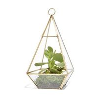 Terrarium en métal moderne, fait main, personnalisable, avec support de chaîne robuste pour décoration suspendue au plafond, idéal pour intérieur, balcon, fenêtre