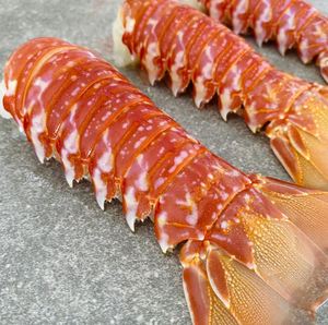 กุ้งมังกรแอฟริกาใต้แช่แข็งขายส่ง ผลิตภัณฑ์อาหารทะเลพรีเมียมสำหรับผู้ซื้อจำนวนมากและการกระจายสินค้าทั่วโลก - Product Image 5
