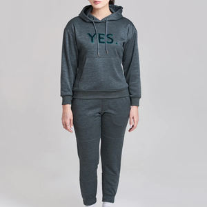 Chándal de algodón de alta calidad para mujer, chándal personalizado de gran tamaño, pantalones de chándal y conjuntos de Sudadera con capucha personalizados en blanco de peso pesado - Product Image 4