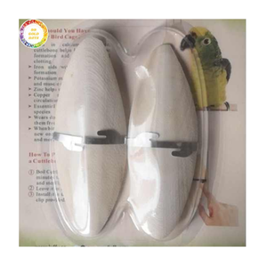 Hueso de Sepia Natural de Alta Calidad para Aves y Reptiles, Fuente Esencial de Calcio para la Salud de las Mascotas, Exportación a Granel, Proveedor de Vietnam - Product Image 1