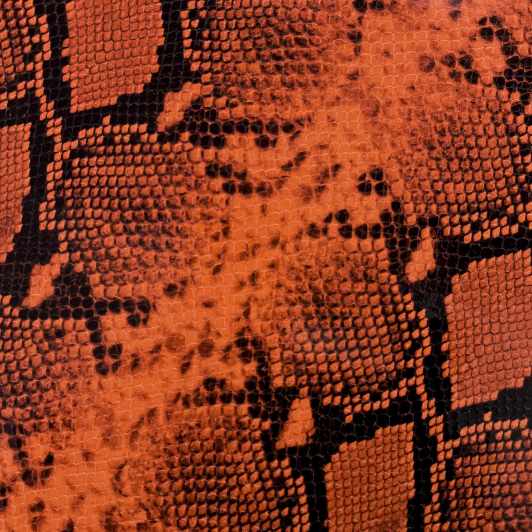 pitón naranja
