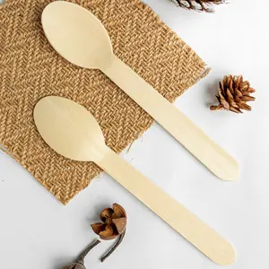 Cuchara desechable ecológica de 16cm, proveedor de productos desechables para la industria de hoteles y restaurantes - Product Image 1