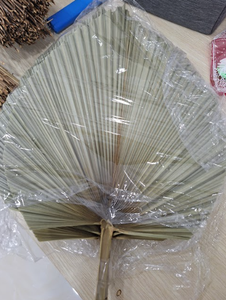Authentique Palm Handfan du Vietnam Idéal pour l'exportation au détail et la marque personnalisée - Product Image 2