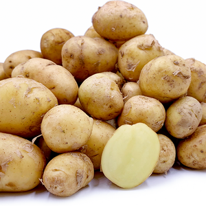 Patatas Bonnete frescas económicas para uso alimentario Producto agrícola - Product Image 2