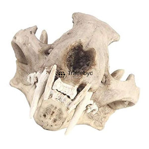 Figura esculpida de animales de resina Premium Tradebyd, pieza de arte decorativa hecha a mano única para decoración moderna del hogar - Product Image 1