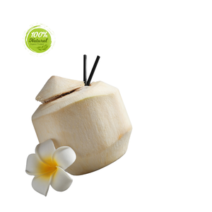 Why Diamond Peeled Coconut Is a <b>Highlight</b> of Vietnamese Cuisine - Product Image 6