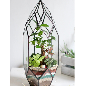 Vente chaude Nouvelle Arrivée Vase En Verre Clair Géométrique Terrarium Noir Fini Grande Taille Jardin Décoratif Terrarium Table Déco - Product Image 1
