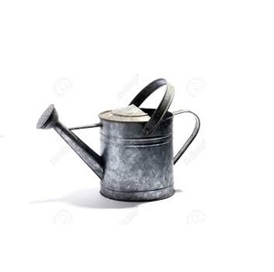 Arrosoir Outil de jardinage décoratif pour pots de plantes d'intérieur Plantes d'extérieur Gris | Cour, jardin et vie en plein air - Product Image 3