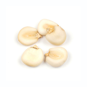 ข้าวโพดขาวสะอาดจากโรงงานพร้อมจำหน่ายสำหรับตลาดขายส่ง - Product Image 5