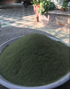 ผงสกัดสาหร่ายสีเขียวอบแห้งของสหภาพยุโรป - Product Image 3