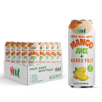 100% Natuurlijke Vitamine 490Ml Mangovruchtensap Met Pulpvrij Monster-Huismerk/Groothandel Frisdrank-Marketingondersteuning