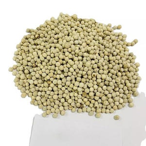 Poivre Blanc Moulu en Gros de Haute Qualité – Épices et Poudre de Poivre Blanc - Product Image 6