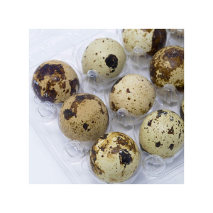 wholesale price quail egg cartons plastic quail egg trays for 30 eggs