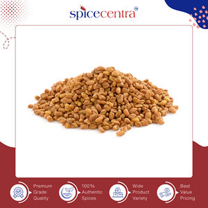 Vente en gros de graines de fenugrec entières, séchées, naturelles, biologiques, pures à 100%, de haute qualité, de la marque Spicecentra, fabriquées en Inde - Product Image 6