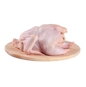 Pollo entero congelado/mollejas/muslos/pies/patas/baquetas - Product Image 1