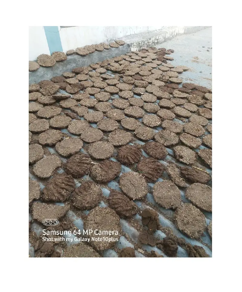 Cow Dung Bolos e Javantry Pacote 100% Puro e Original para Pó Diário Redondo ORGÂNICO Fertilizante Estrume Agroquímico O1 O5