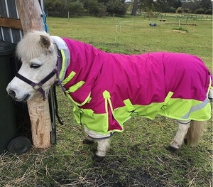 Nhà Máy Nhà Sản Xuất Ngựa Mùa Đông Ngựa Thảm Không Thấm Nước Bên Ngoài Vỏ Polyester Nylon Lót Vải Kanpur Ấn Độ Tack Cửa Hàng - Product Image 3